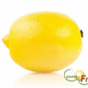 Limoni