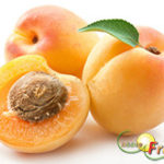 Albicocche
